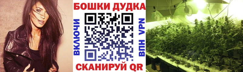 магазин  наркотиков  мега сайт  Каннабис AK-47  Мегион 